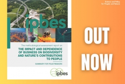 Новият доклад на IPBES: бизнесът има ключова роля за опазването на биоразнообразието